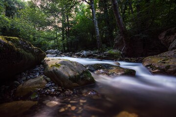 Naklejka na ściany i meble Flowing Piguena River in Somiedo Natural Park, Principality of Asturias, Spain