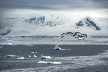 Naklejka premium Stunning view of a group of penguins standing atop a snow-covered iceberg in Antarctica