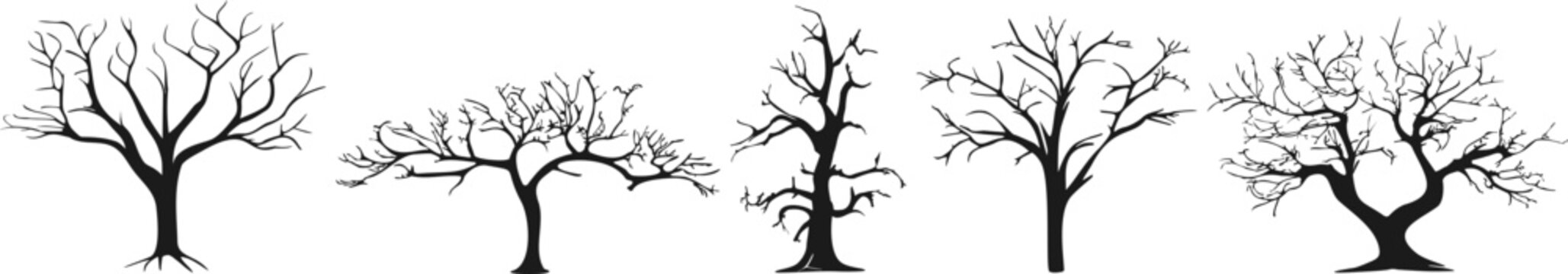 Tree silhouette. Collection of black contours of trees without leaves. Various trees in different positions. Forest set in flat style. Vector illustration.
