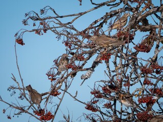 Bird perched on a tree branch among lush foliage