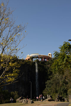 parque tangu&aacute; em curitiba