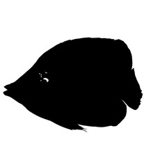 fish silhouette