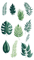 set of green leaves, AI Generate
