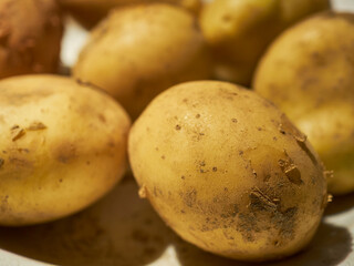 Fresh, raw yellow potatoes
