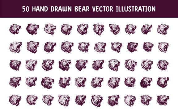 collection hand drawn bear vector illustration. hand drawn vector illustration