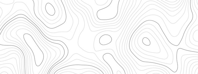 Abstract topographic wavy curve line background. Topography map pattern, Geographic curved relief. Topographic lines background. Vector illustration.	
