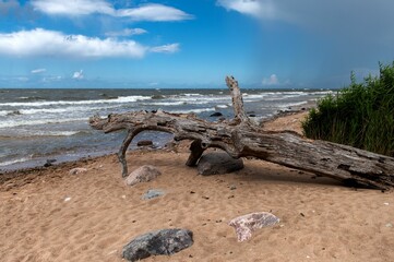 Scenic view of the Baltic Sea coastline near Lauci Stone in Latvia.