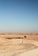 The vehicle driving down the dirt road by the trees