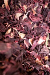 Close-up photograph of a collection of dried flower petals in the streets of Tel Aviv, Israel