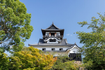 夏の犬山城天守閣_犬山城内庭園