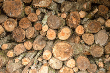 stack of firewood