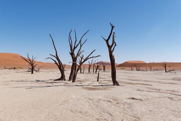 Scenic view of Deadvlei in the Namib-Naukluft National Park in Namibia