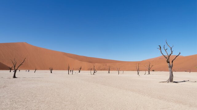Scenic view of Deadvlei in the Namib-Naukluft National Park in Namibia