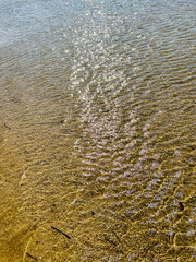 Beautiful sand in Italy, Sardinia.