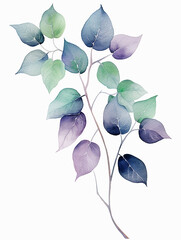 lilac branch isolated on white. Eucalyptus branch with leaves. Watercolor illustration.