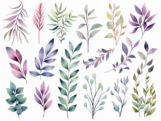 Watercolor set of leaves and branches. Hand drawn vector illustration.