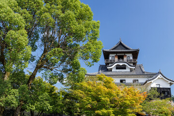 夏の犬山城天守閣_犬山城内庭園