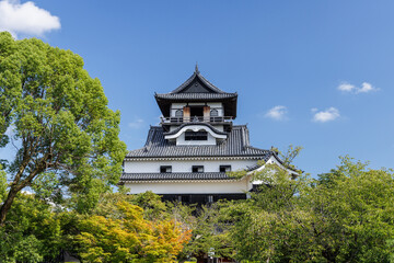 夏の犬山城天守閣_犬山城内庭園