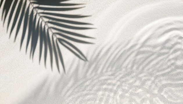 Palm leaf shadow on abstract white sand beach with sunlight in transparent water background photo