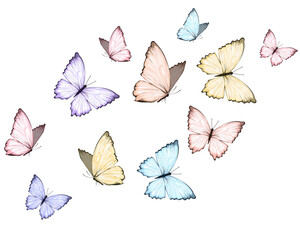colorful set of butterflies