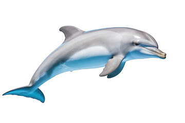dolphin isolated on white background. Generative AI