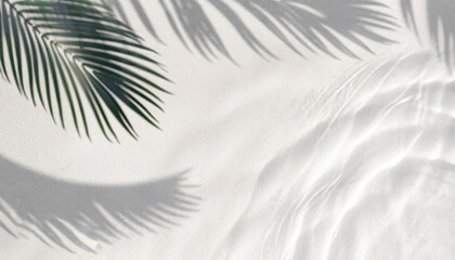 Fototapeta na wymiar Palm leaf shadow on abstract white sand beach with sunlight in transparent water background photo