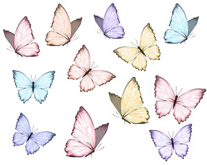 set of butterflies color colorful butterfly	