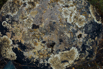 Old gray stone with ancient lichen, natural texture, organic backdrop