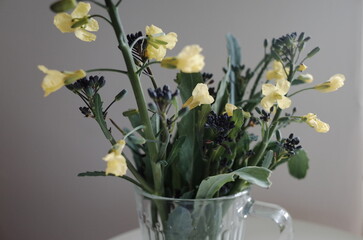 broccoli and its flower