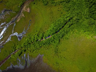 Aerial top down view over a park with a green pond on a sunny day on Long Island, NY