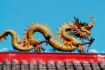 Fototapeta premium chinese dragon statue in temple