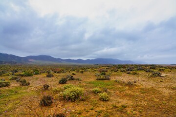 Fototapeta premium Stunning view of the Atacama desert under an overcast sky