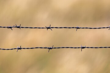Closeup of a barbed wire fence