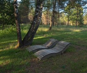 Closeup of wooden benches in a  natural environment of trees and lush grass  in Plateliai, Lithuania