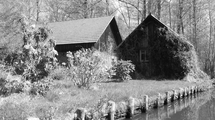 Unterwegs im Spreewald.