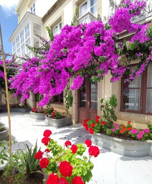 Decoraci&oacute;n en las casas de Ares, Galicia
