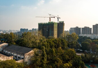 Tall crane stands against a backdrop of lush green trees and distant city buildings