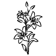 Hand drawn flower icon