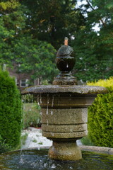 fountain in the garden