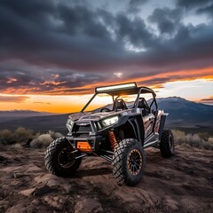 Side by side in the wild