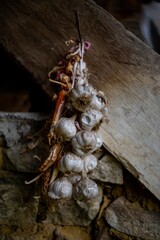 Close-up of garlic bulbs hanging on a wooden desk