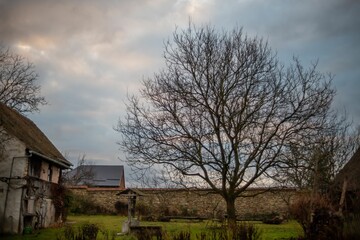 Fototapeta na wymiar Scenic view of an old rural house with a green lawn and bare trees on a cloudy day