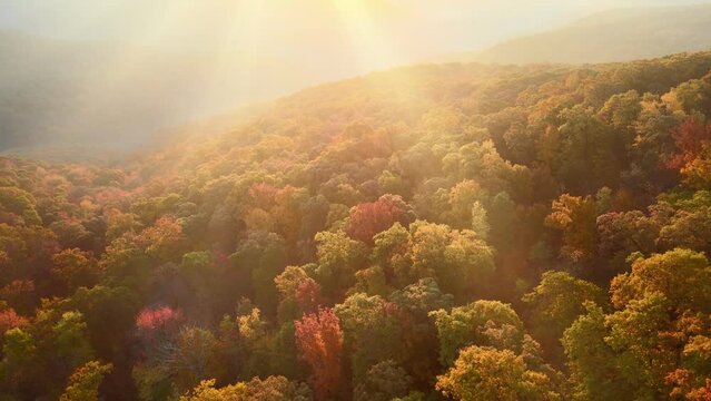Sunlight sunbeam rays shine through fog in Arkansas ozark mountains with colorful fall forest trees moving arterial drone shot