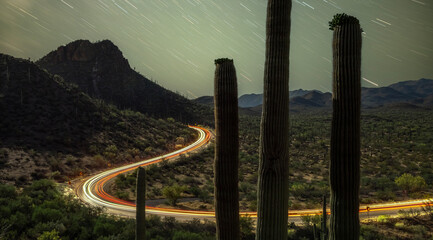 Saguaro Cactus and curvy road under a stary sky 