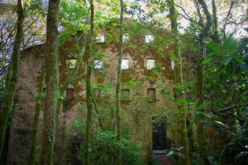 Ruinas de una antigua fábrica de papel construida en medio del monte, al lado de un río, con...