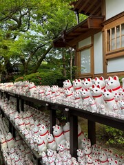 Maneki neko Japanese traditional buddhist lucky cat at Gotokuji Temple Tokyo. 