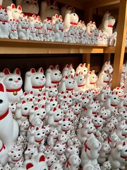 Maneki neko Japanese traditional buddhist lucky cat at Gotokuji Temple Tokyo. 