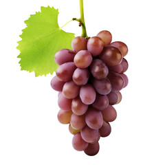 Fototapeta premium red grapes bunch isolated on white background. Generative AI