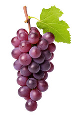 Fototapeta premium blue grapes bunch isolated on white background. Generative AI