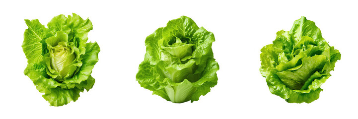 Green lettuce salad isolated on transparent background